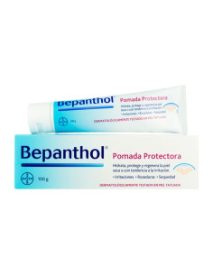 BEPANTHOL POMADA PROTECTORA 100 G